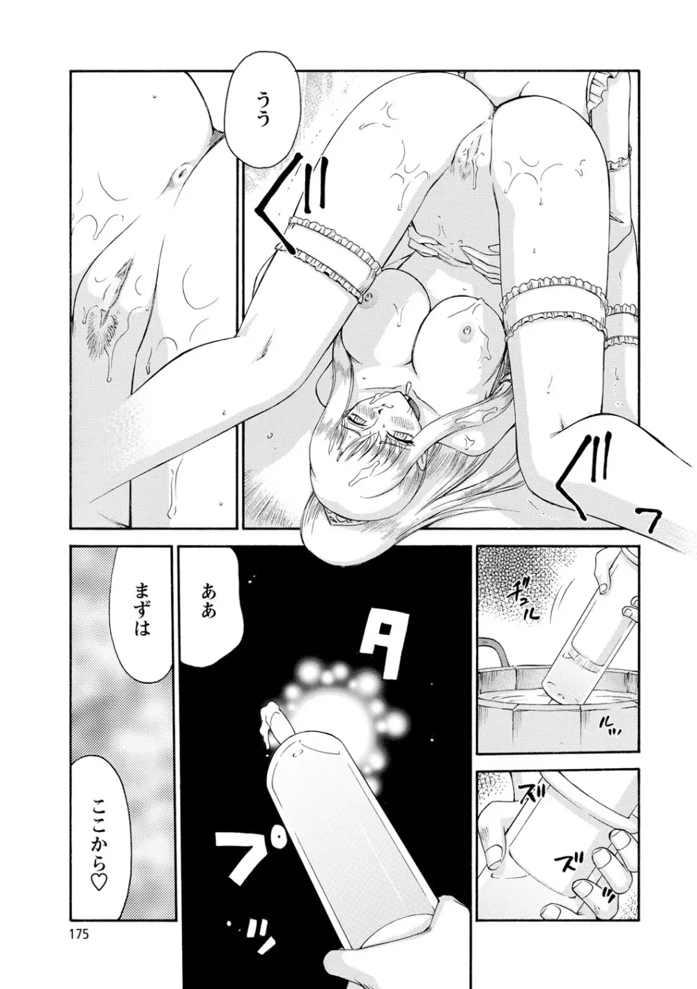 姫辱淫夢アルフィナ Page.176