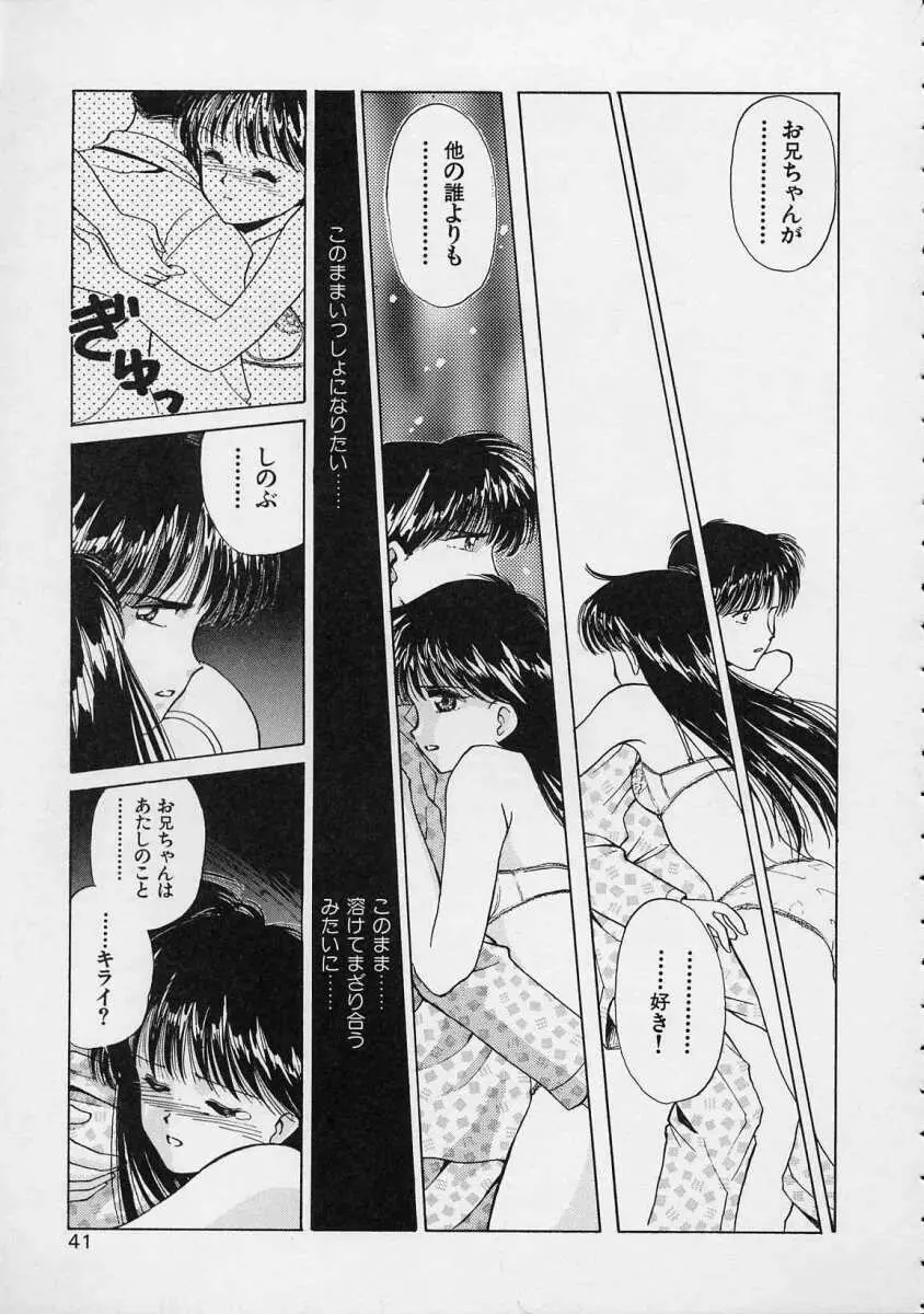 空穂幻燈 Page.42