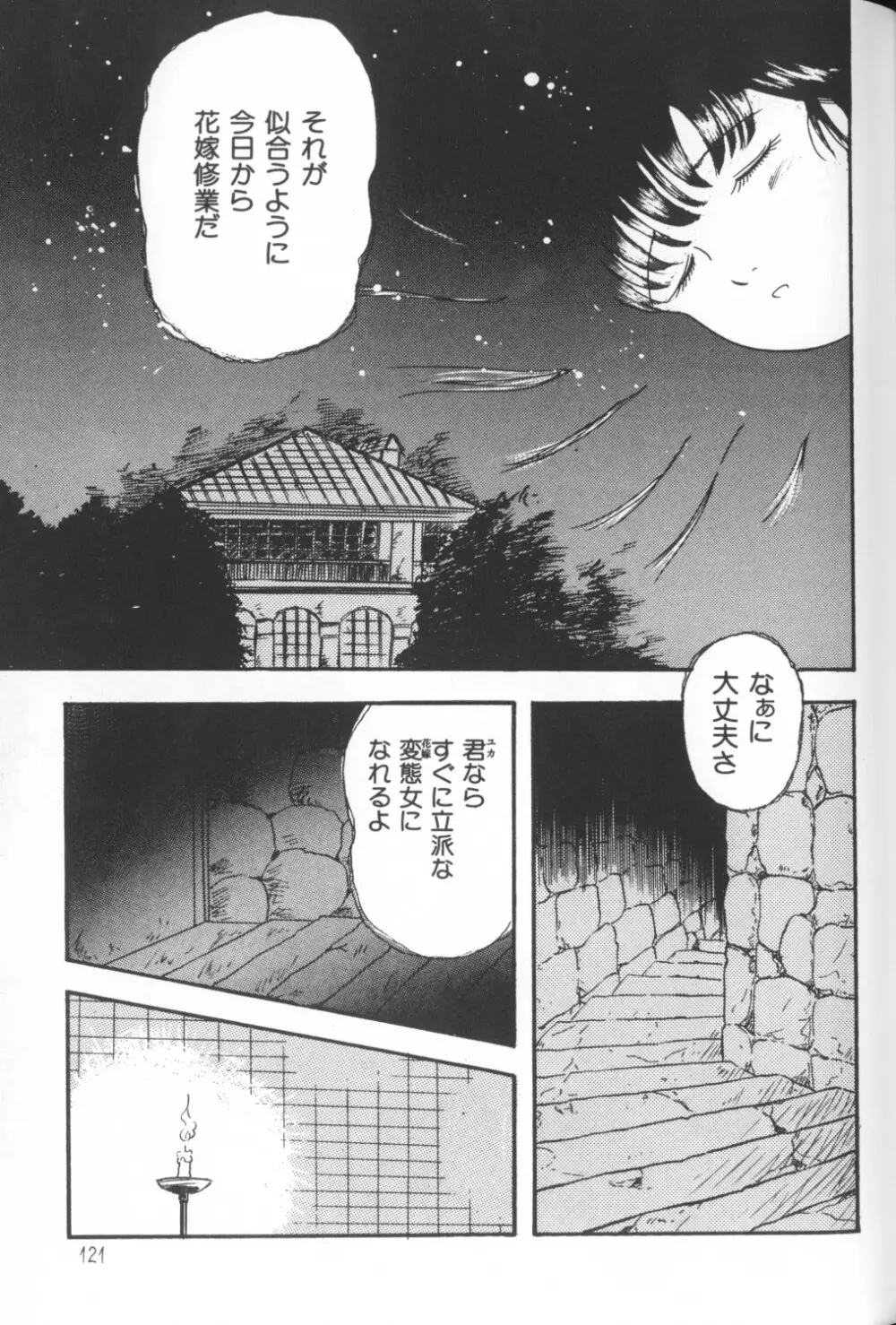 秘密の地下室 Vol.1 Page.121