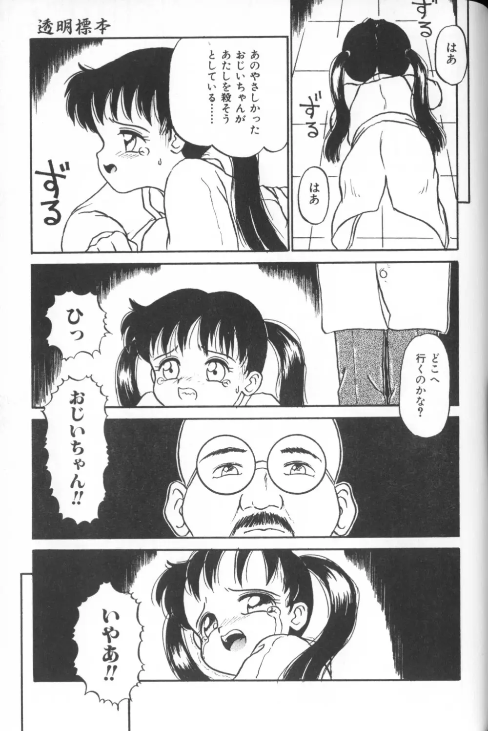 秘密の地下室 Vol.1 Page.45