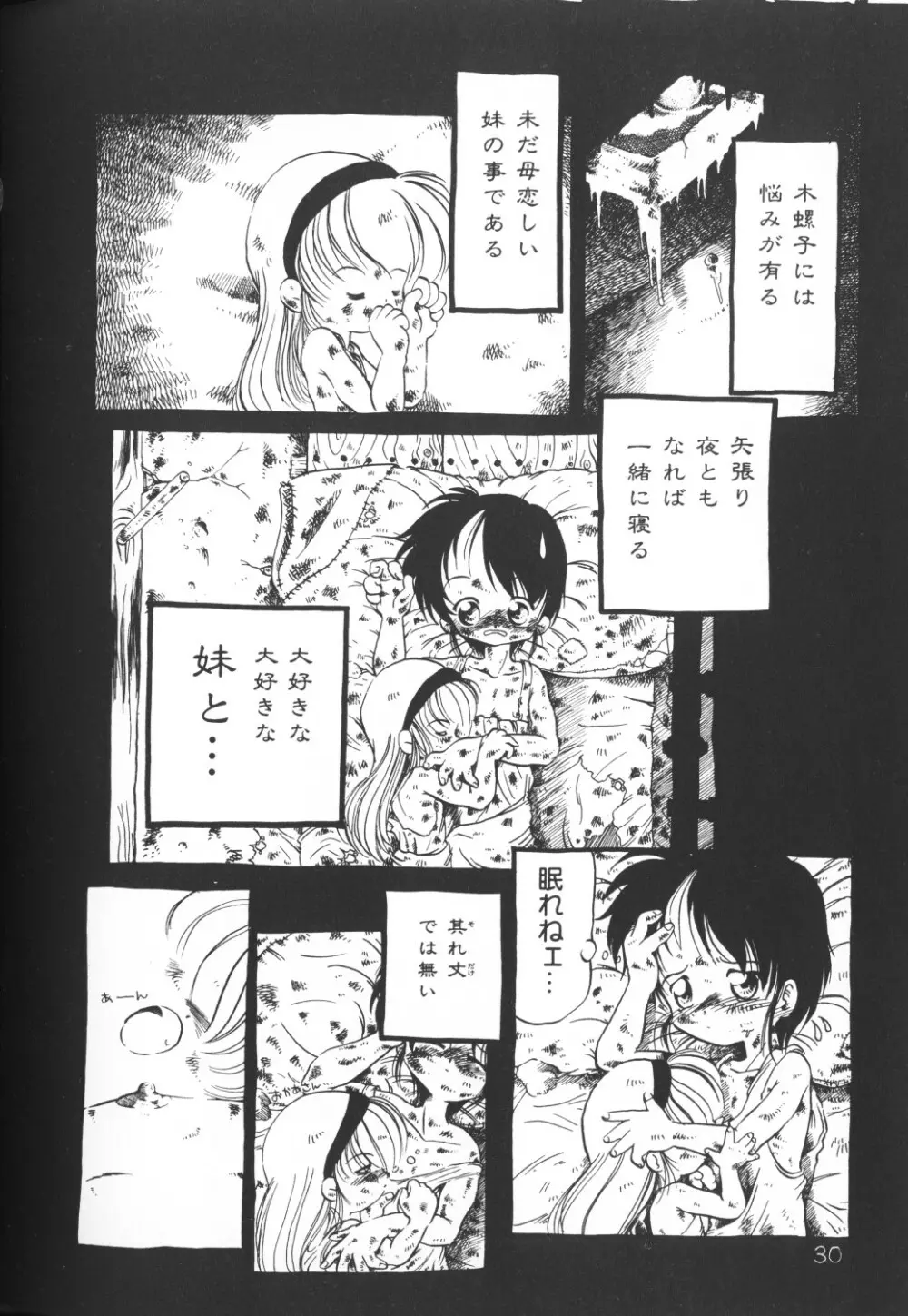 秘密の地下室 Vol.2 Page.30