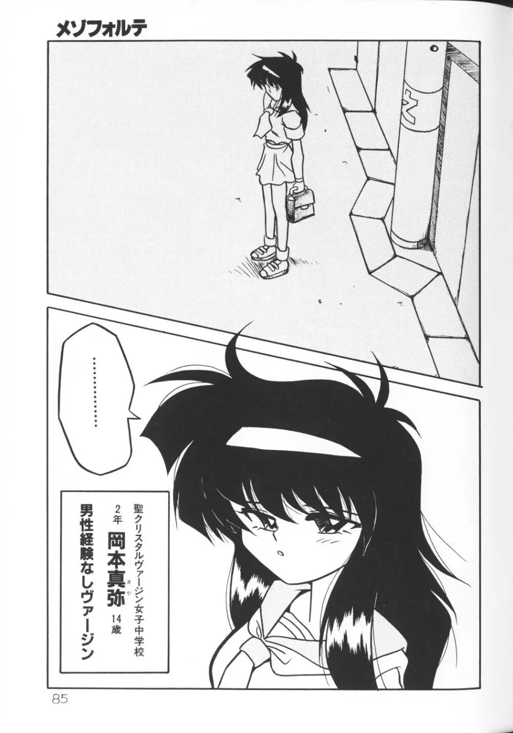 秘密の地下室 Vol.2 Page.85