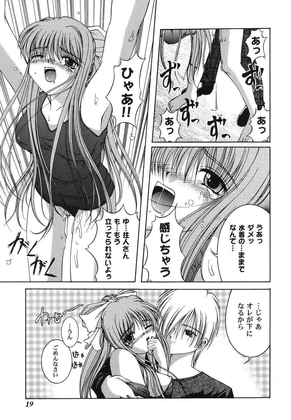 秘密のセレナーデ1 Page.19