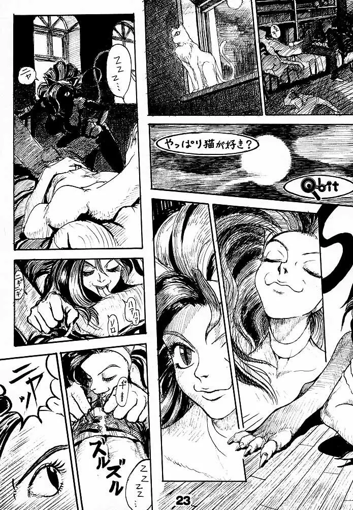 (C52) [Q-bit (Q-10)] Q-bit vol.2 - Savior? (ヴァンパイア) Page.22