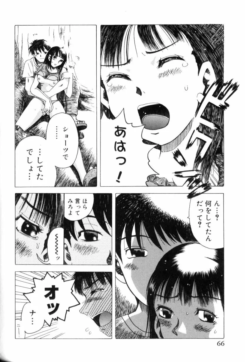 青姦スペシャル Page.67