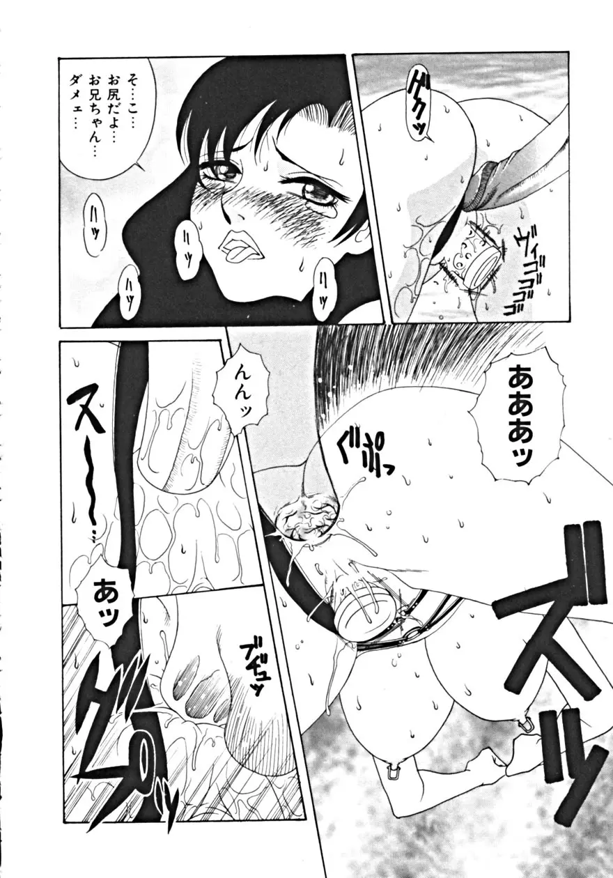 背徳の輪舞曲 Vol.1 Page.104