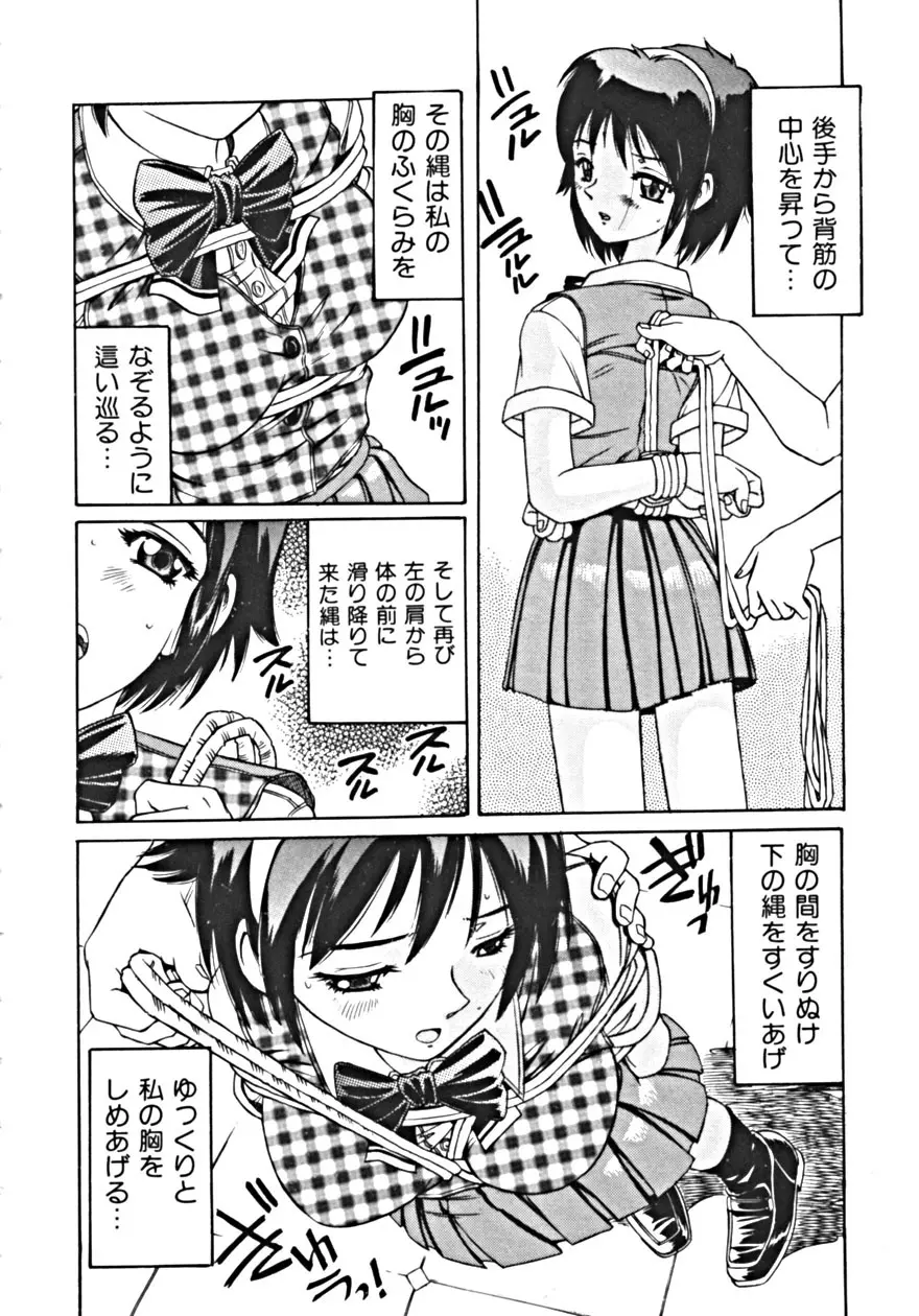 背徳の輪舞曲 Vol.1 Page.44