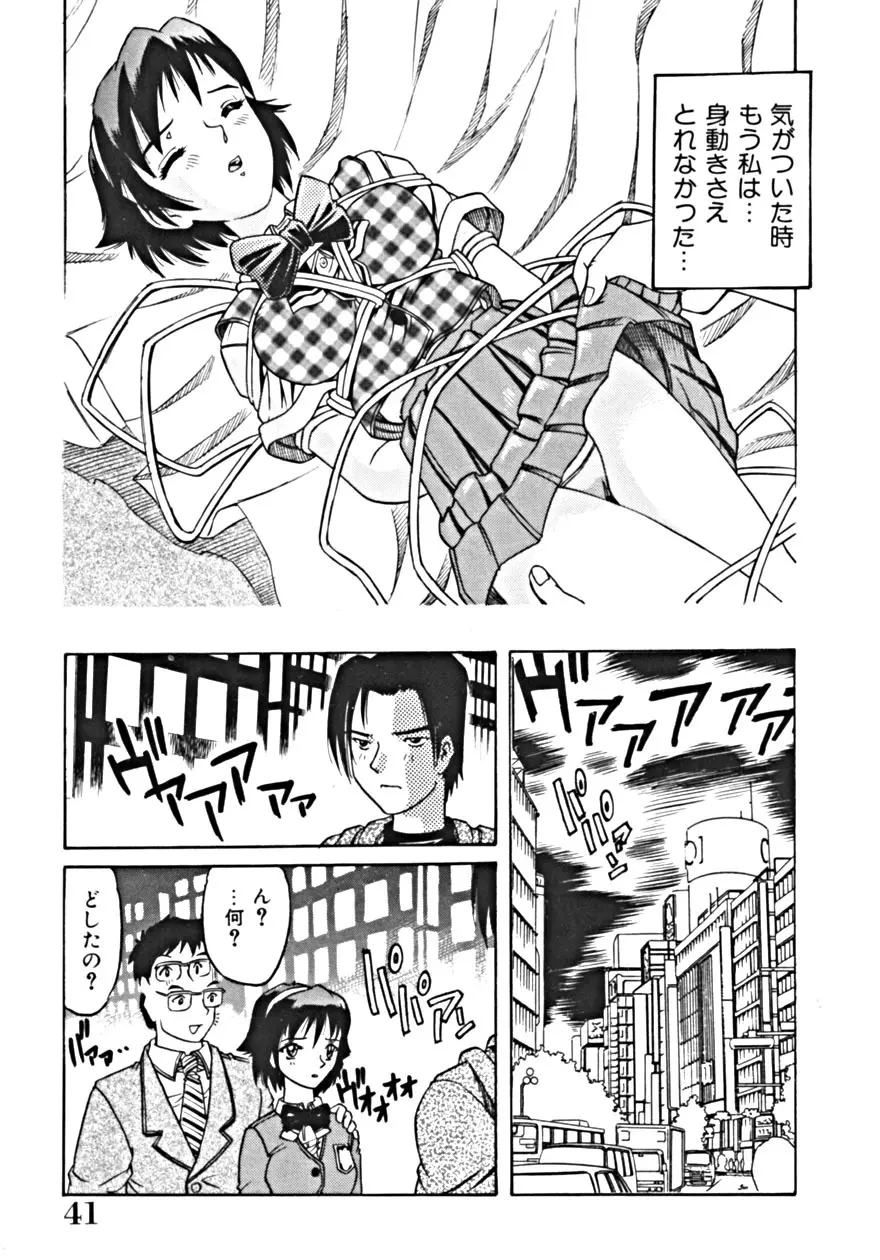 背徳の輪舞曲 Vol.1 Page.45