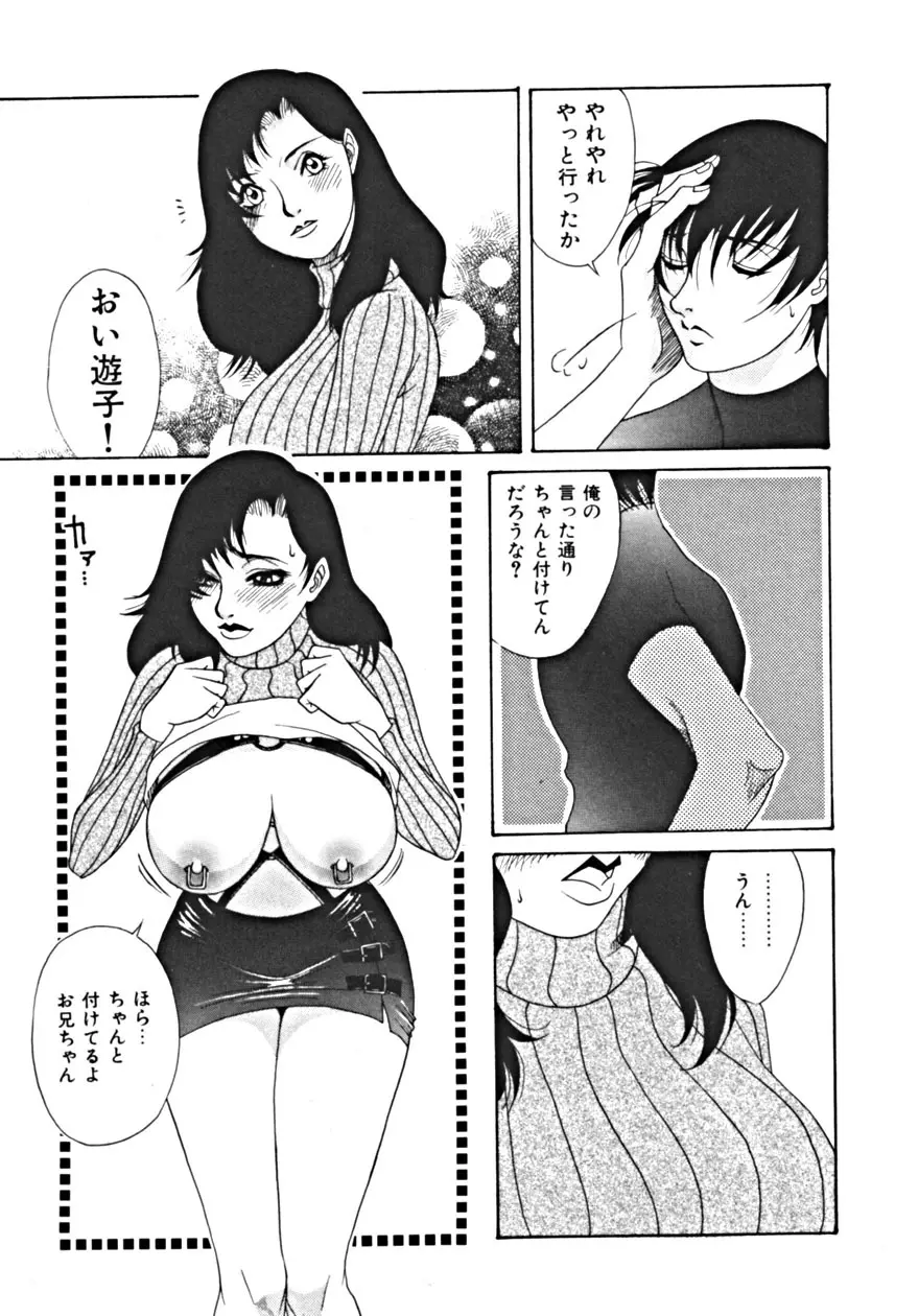 背徳の輪舞曲 Vol.1 Page.97