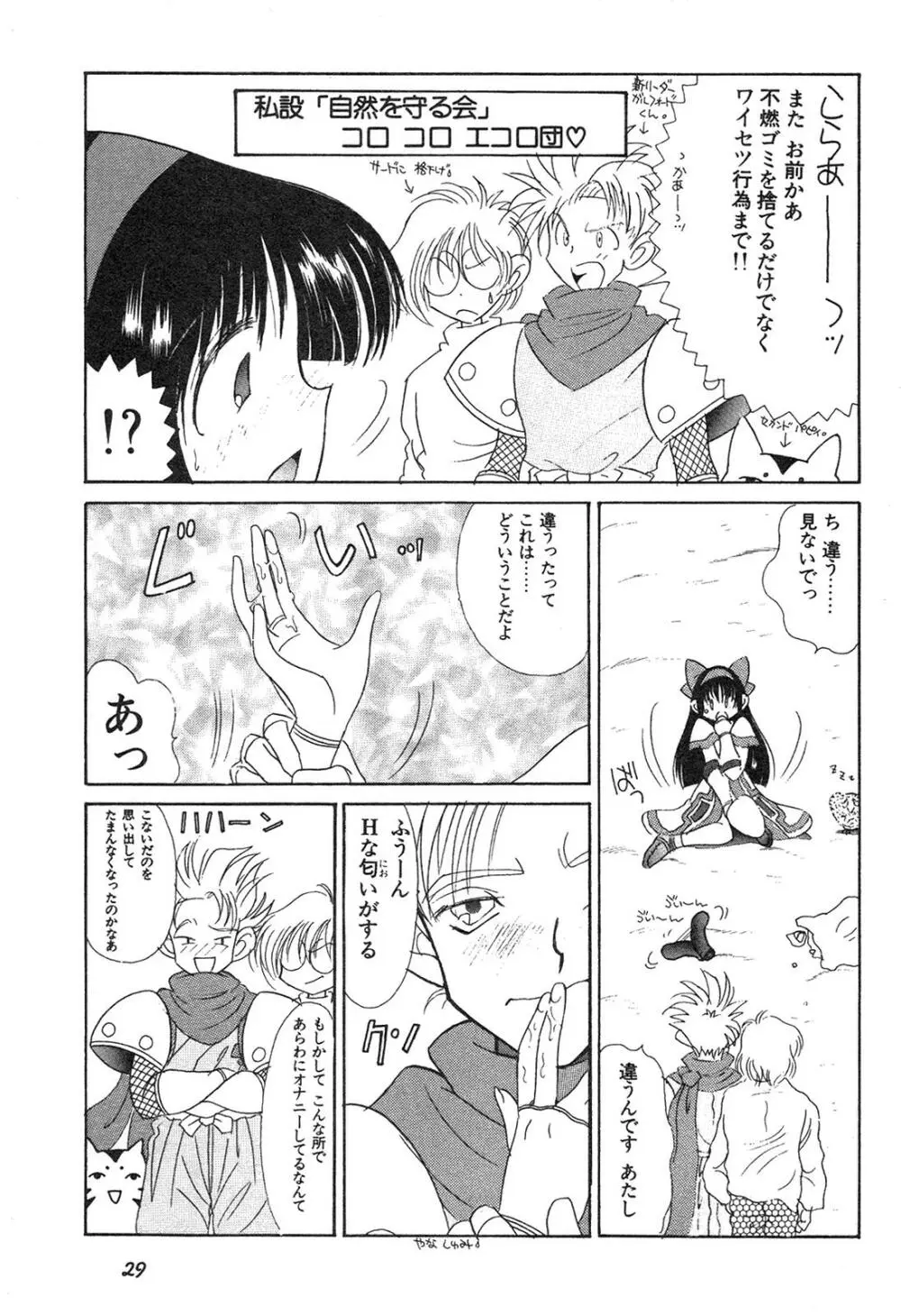 新・美少女症候群 3 ヤマト編 Page.30