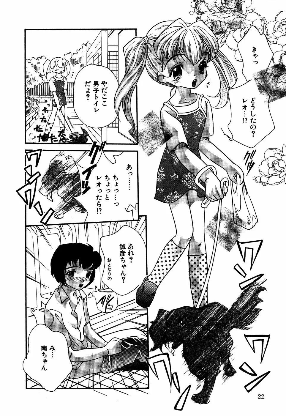 リトルピアス Vol.13 Page.24