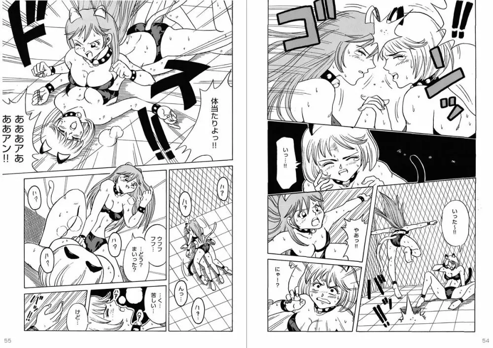 復刻版 美少女Fighting Vol 9 Page.28
