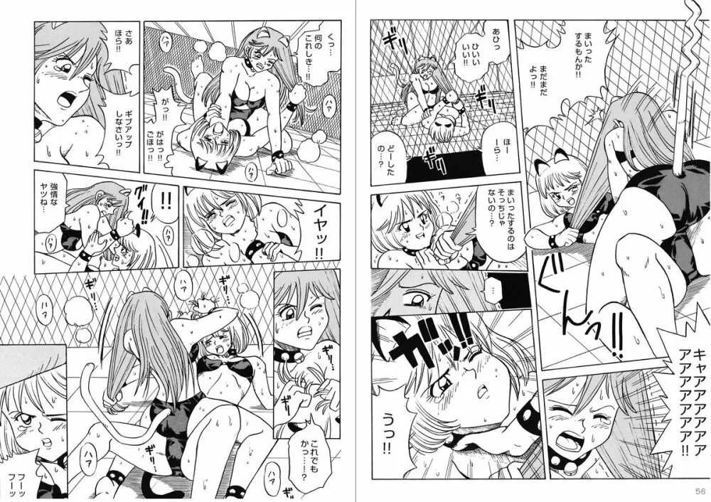 復刻版 美少女Fighting Vol 9 Page.29