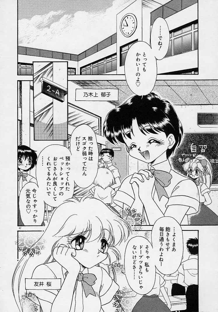 調教しちゃうぞ！ Page.41