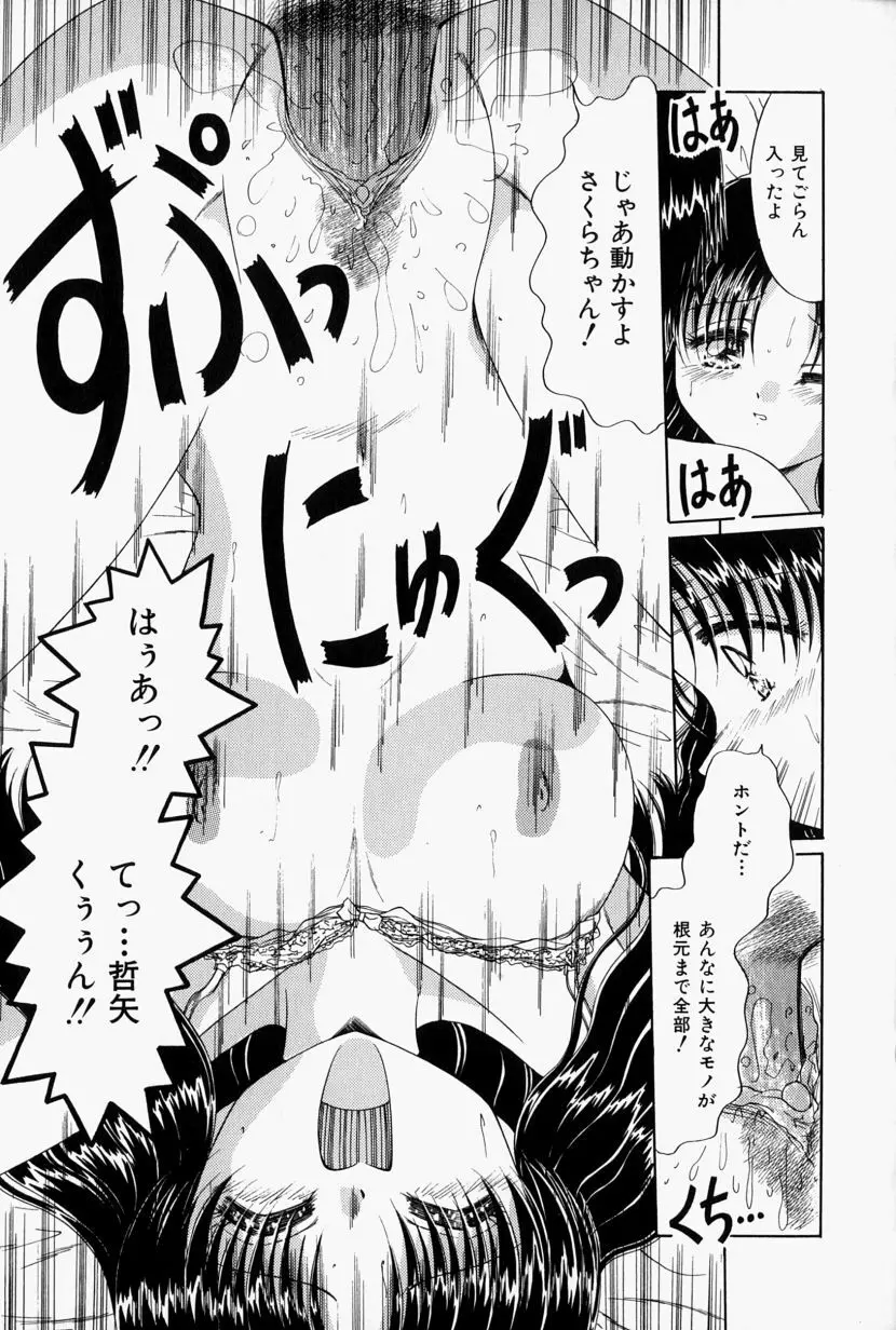 彼の秘密・私の秘密 Page.116