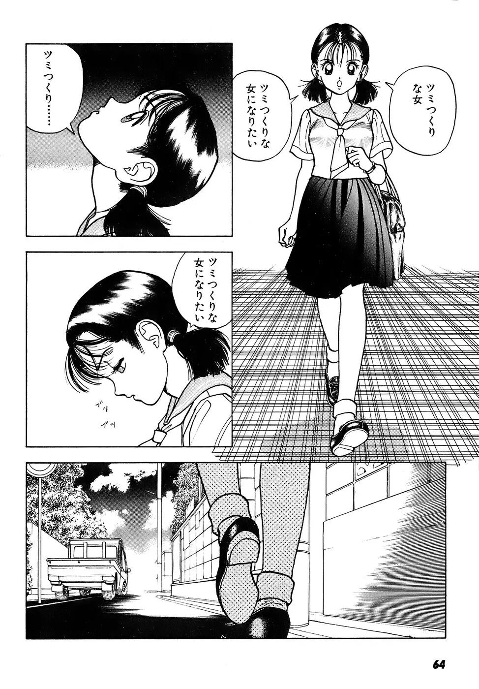 彼女の陰謀 2 Page.65