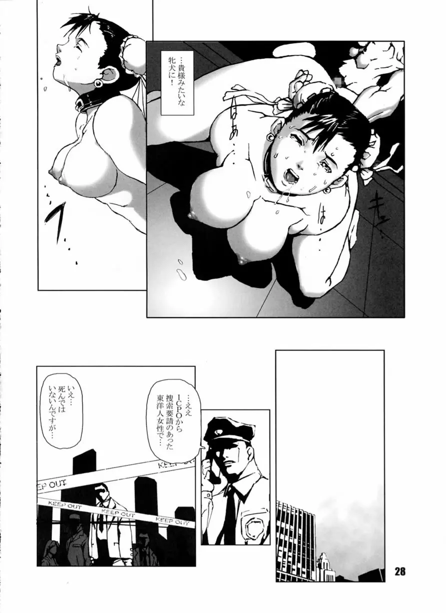 FIGHT FOR THE NO FUTURE 02 Page.27