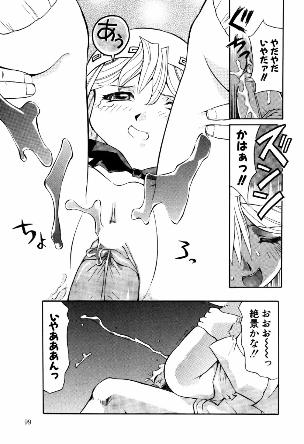 リトルピアス Vol.18 Page.101