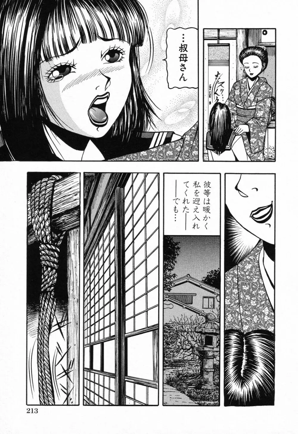 禁断姦淫 Vol.11 いとこ姦 Page.215