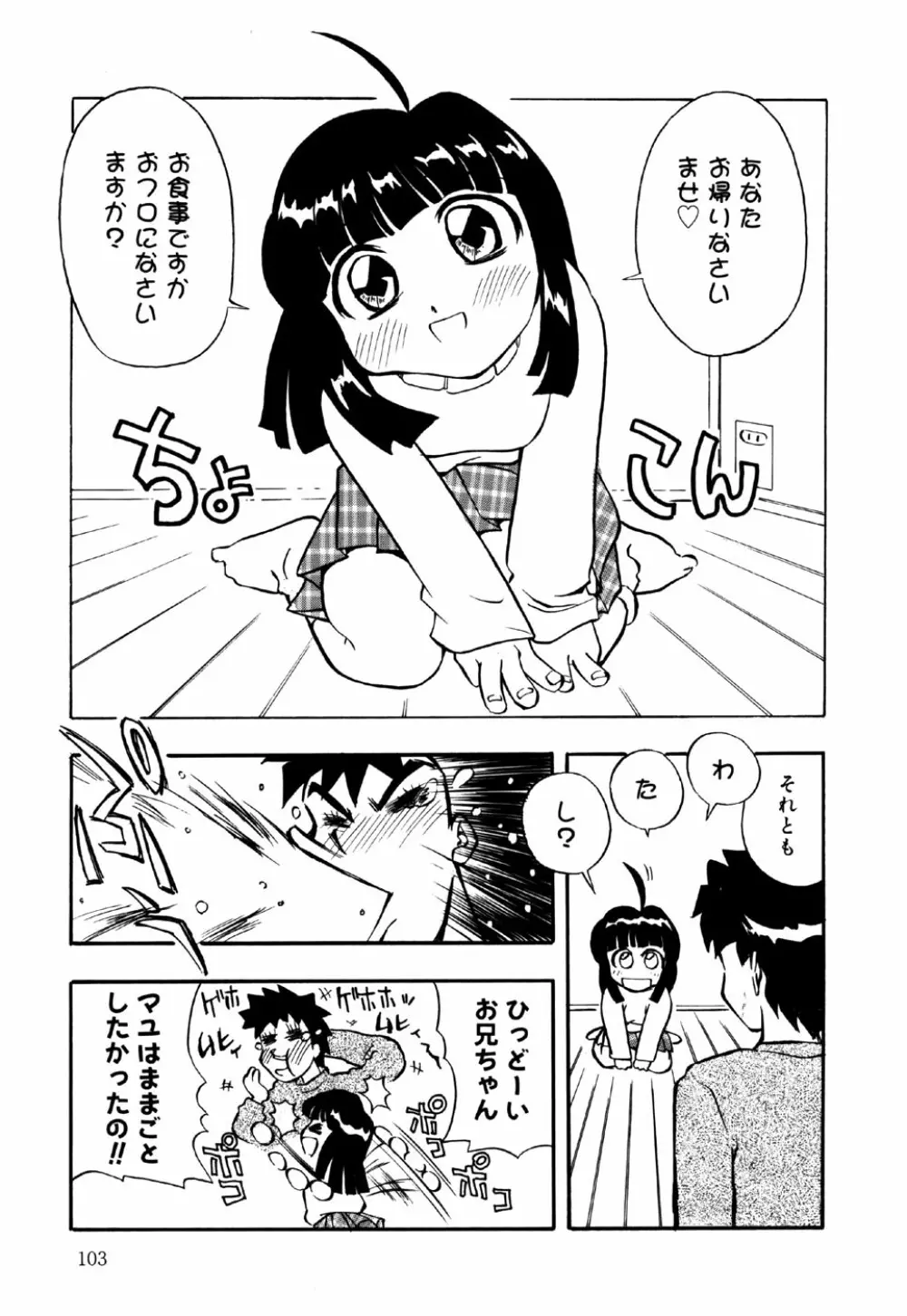 リトルピアス Vol.22 Page.105