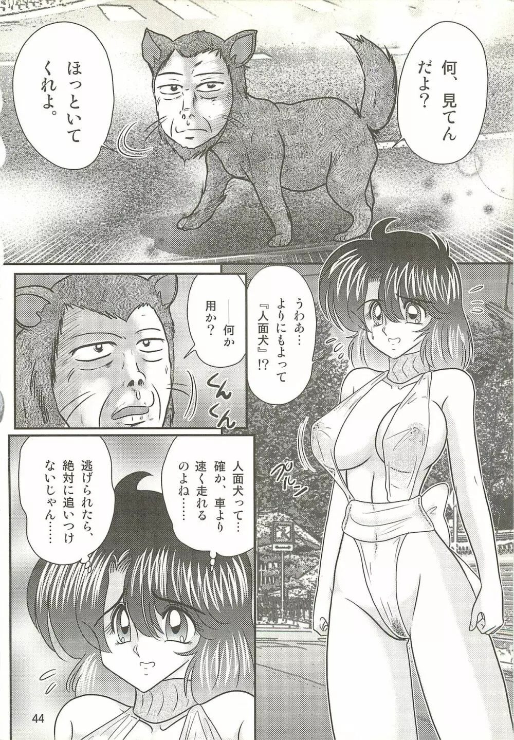 精霊特捜フェアリィセイバーW 聖母淫虐 Page.48