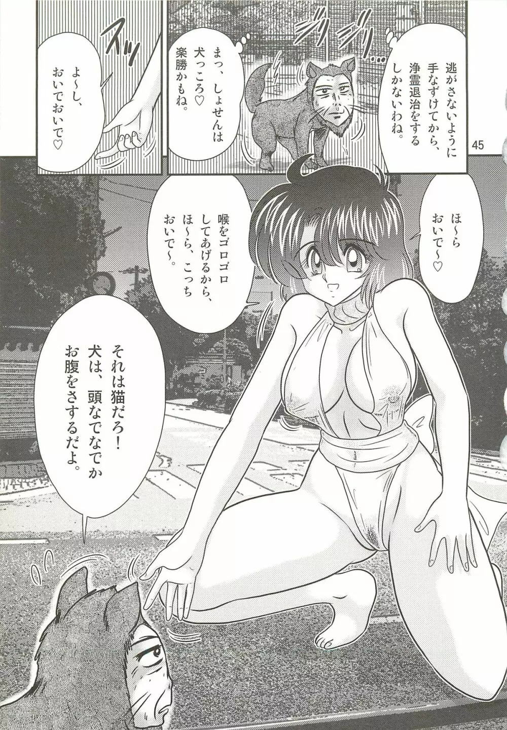 精霊特捜フェアリィセイバーW 聖母淫虐 Page.49