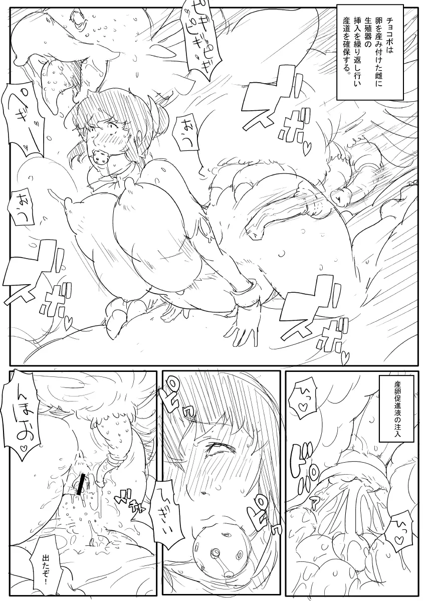 お姉さんの漫画 Page.14