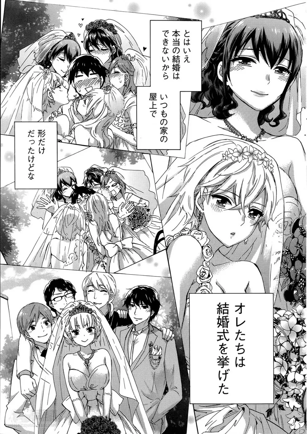 絶対★は～れむ 第40-52+2話 Page.243