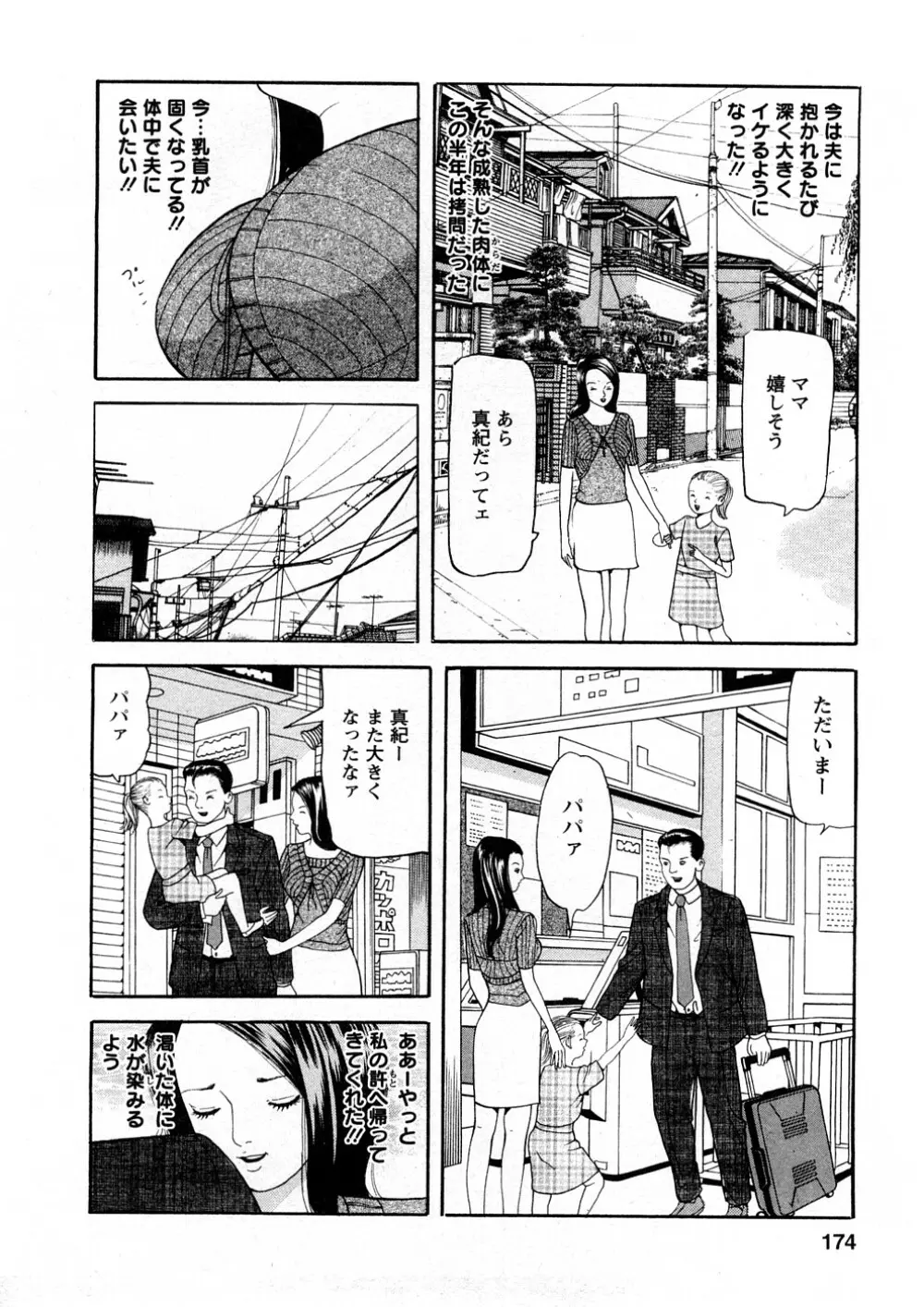 人妻たちのＳＥＸ図鑑 Page.173