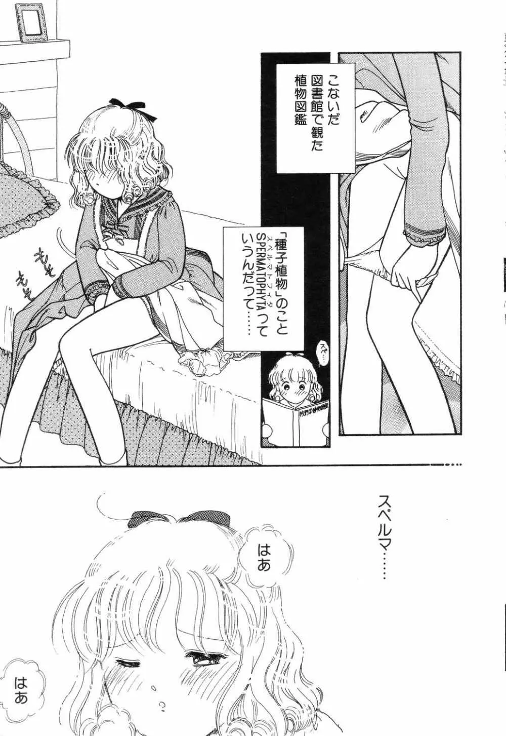 リトルピアス Vol.04 Page.85