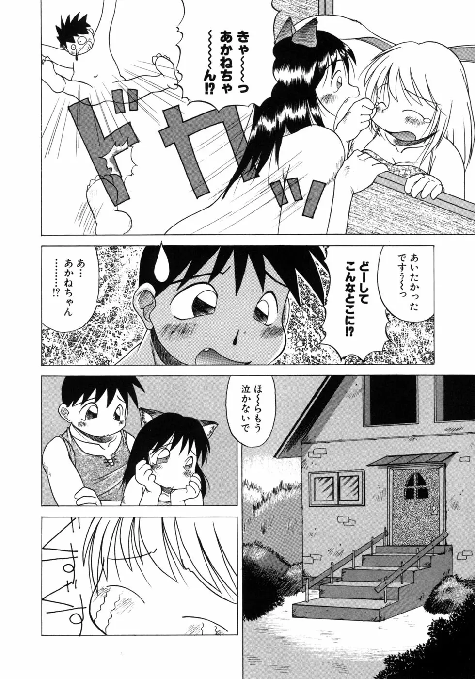 愉しいオモチャ Page.33