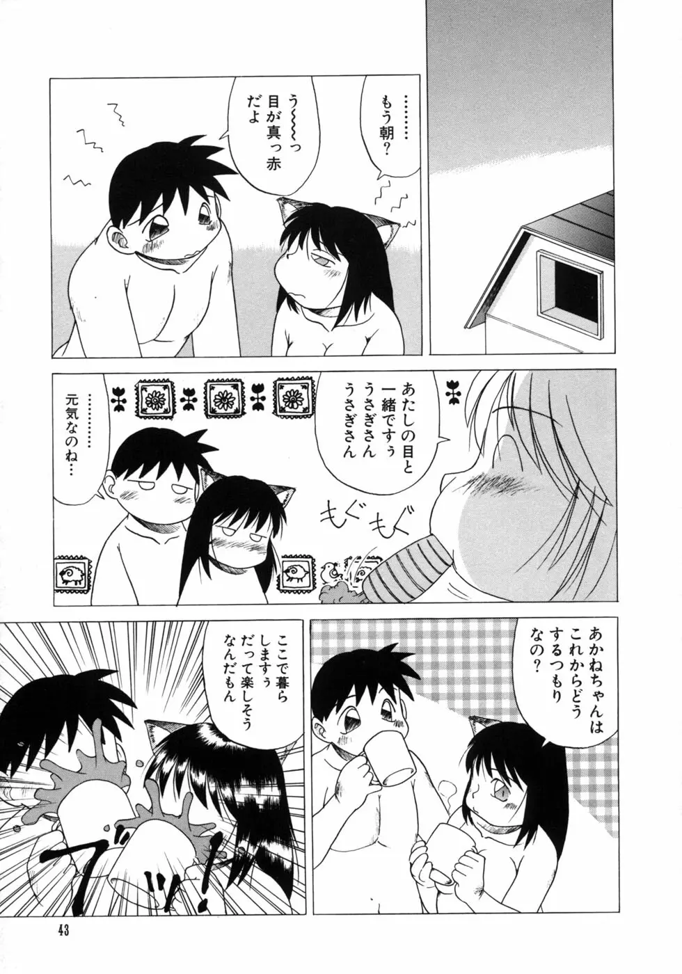 愉しいオモチャ Page.45