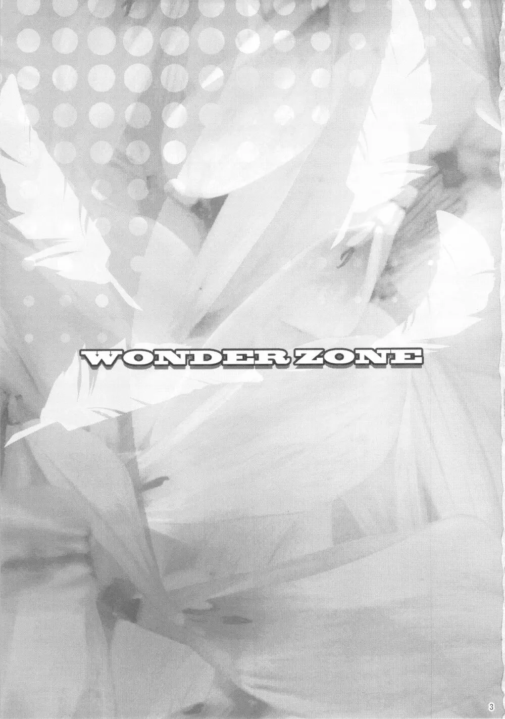 WONDER ZONE Page.2