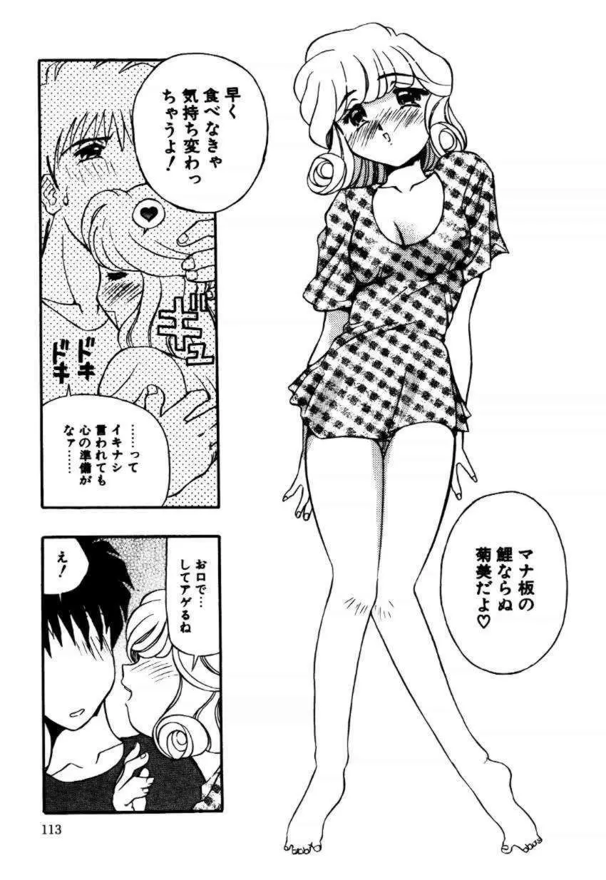 A／K／A 京納言あやや大作戦 Page.113