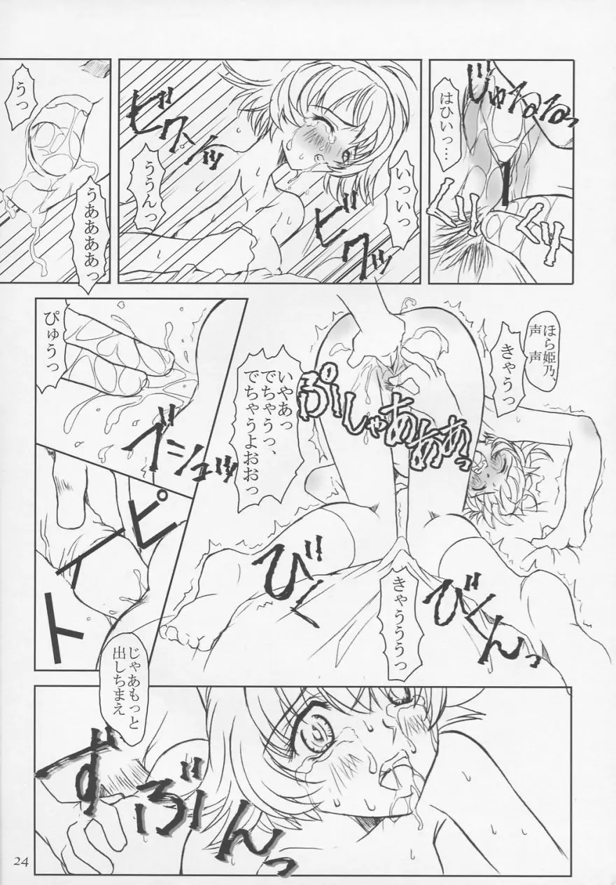 プリーティア ひめのおもかげ Page.23