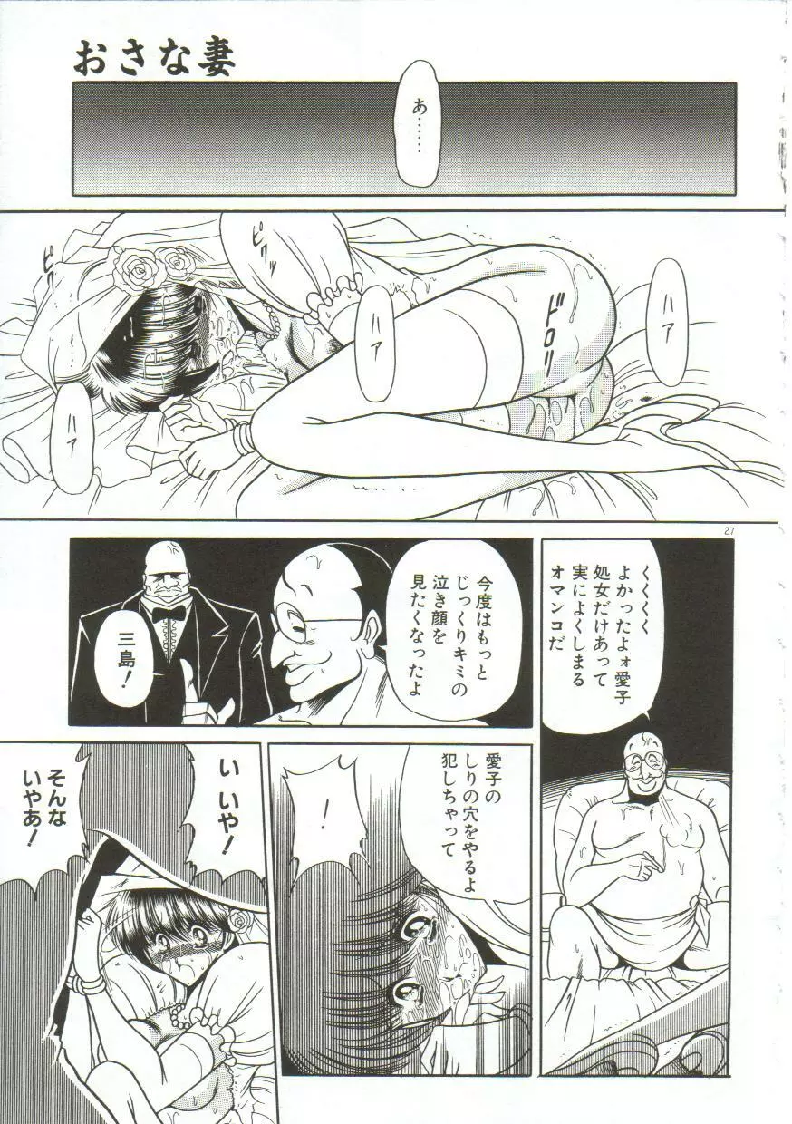 愛玩凌辱書 Page.23