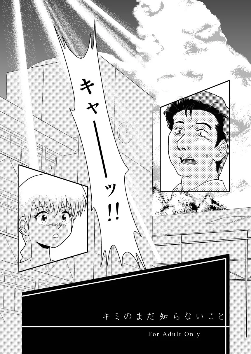 キミのまだ知らないこと Page.11