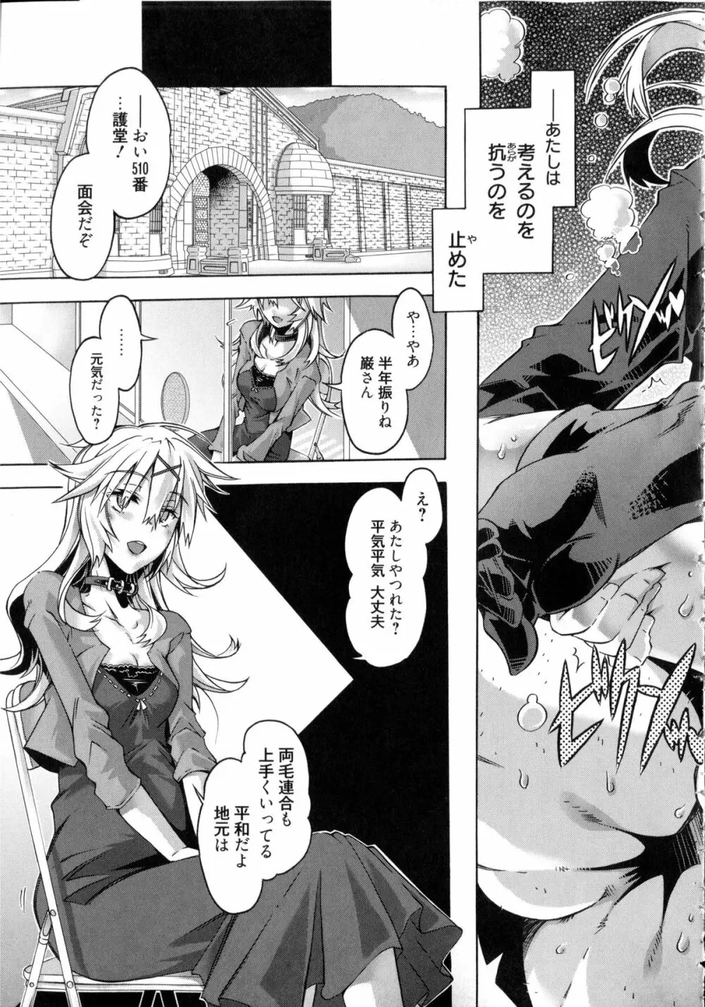 イバラヒメ + 4Pリーフレット Page.208