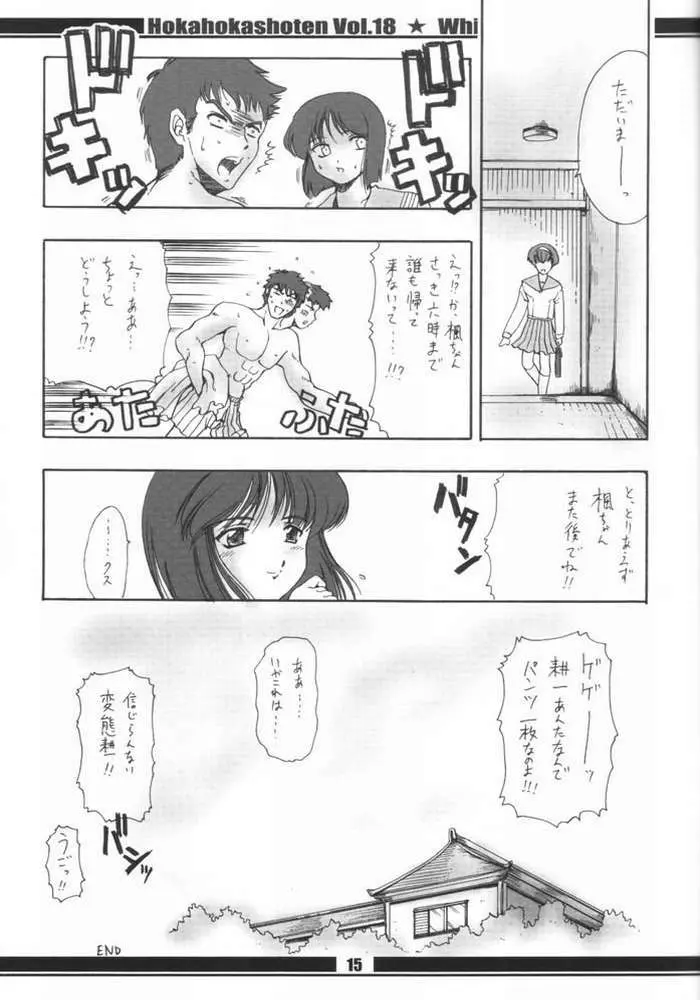 HokaHokaShoten vol.18 - White Party Page.16