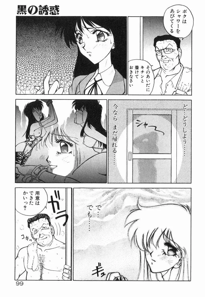 乙女ちっくA&D Page.104