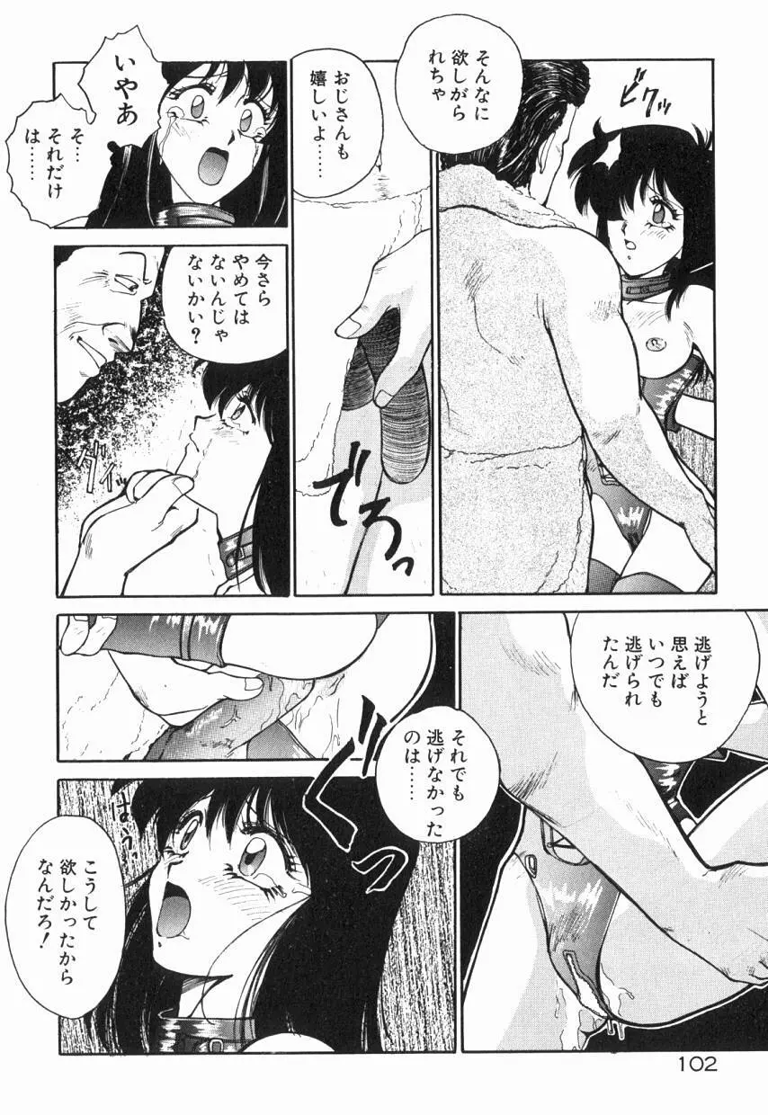 乙女ちっくA&D Page.107