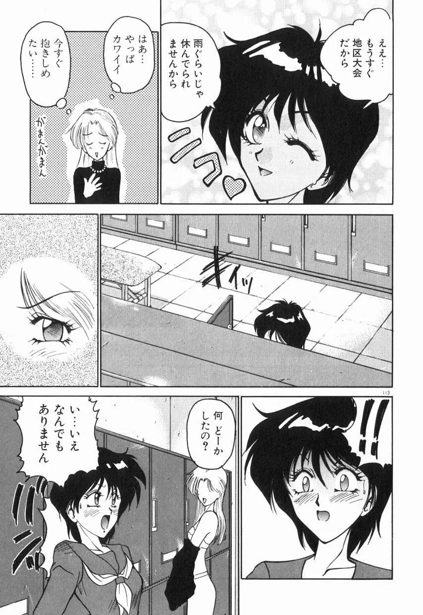 乙女ちっくA&D Page.118