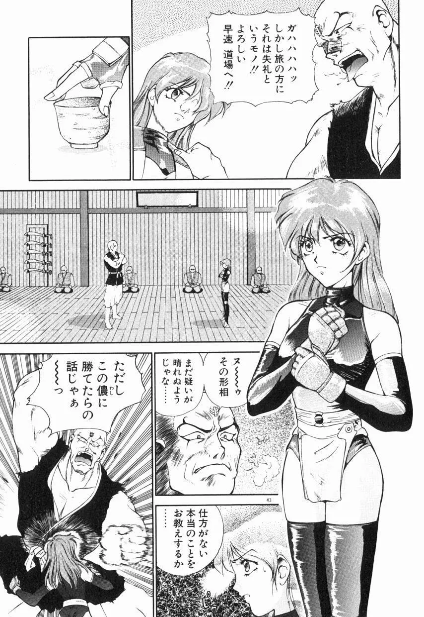 乙女ちっくA&D Page.48