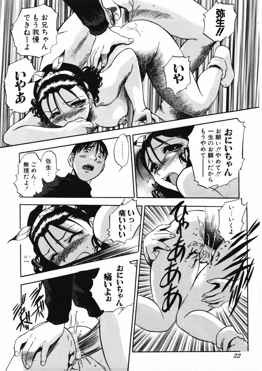 Ｈな躰って言わないでっ Page.23