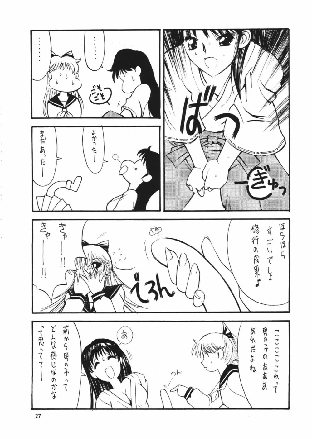 フェイバリット・ヴィジョンズ３ Page.29