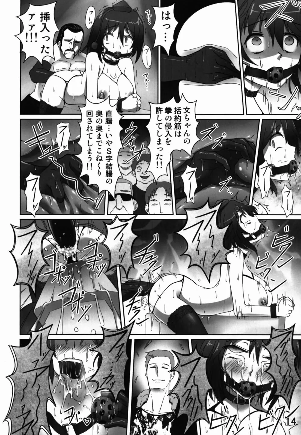 経肛投与 Page.14