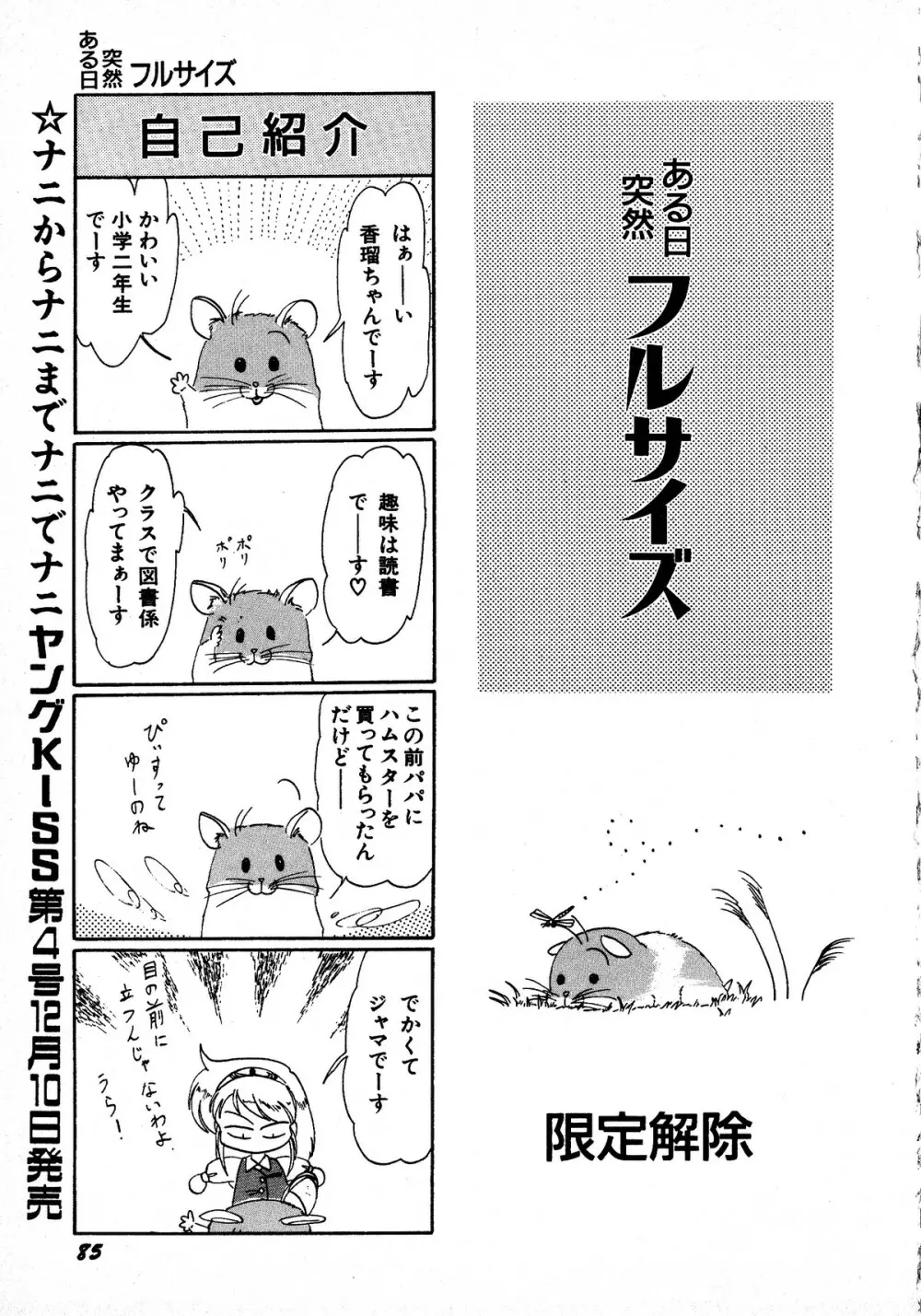 ヤングキッス No.3 Page.85