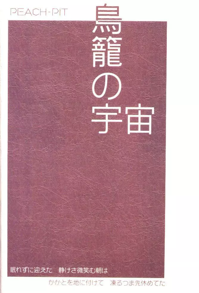 鳥籠の宇宙 Page.62