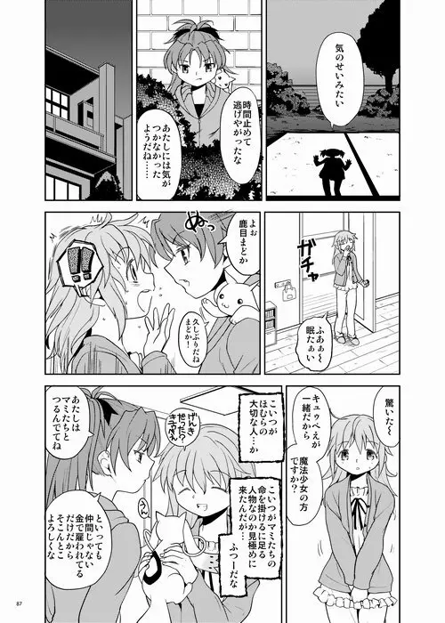 続・過酷少女絵録 Page.87