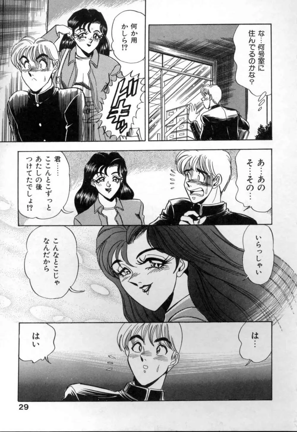 セクシャルメモリアル Page.29